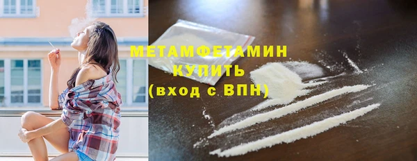 прущие грибы Михайлов