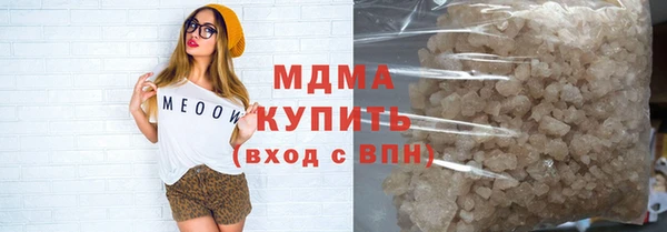прущие грибы Михайлов