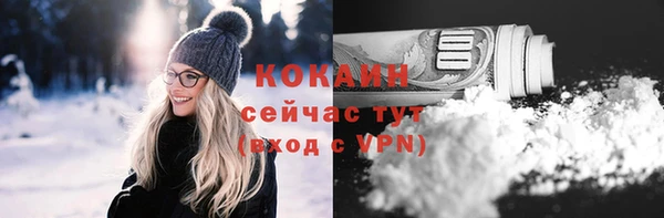 прущие грибы Михайлов
