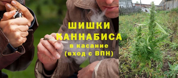 прущие грибы Михайлов
