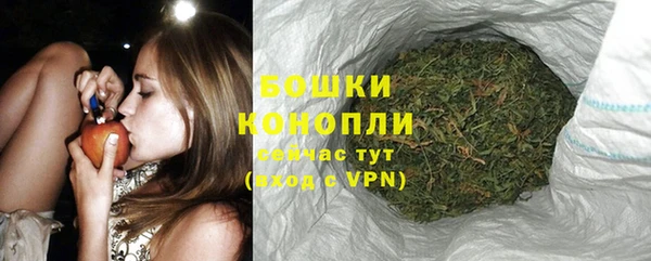 прущие грибы Михайлов