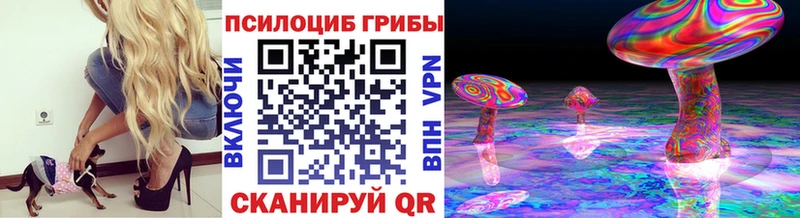 Псилоцибиновые грибы Psilocybine cubensis  Порхов 